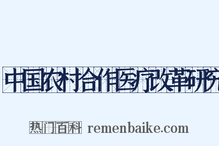中国农村合作医疗改革研究是什么意思的图片